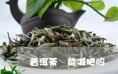 普洱茶 能减肥吗/2023031770825